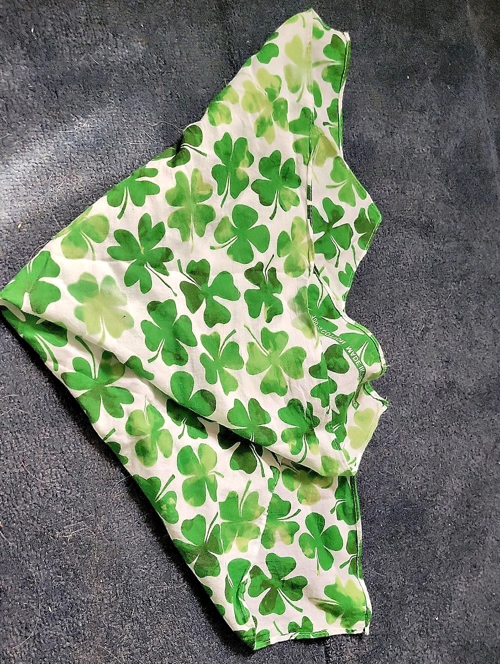 Bandana - Picture 2 of 2